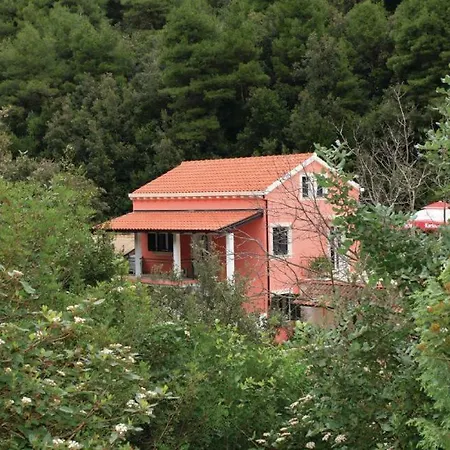 Trstenik, Karla *